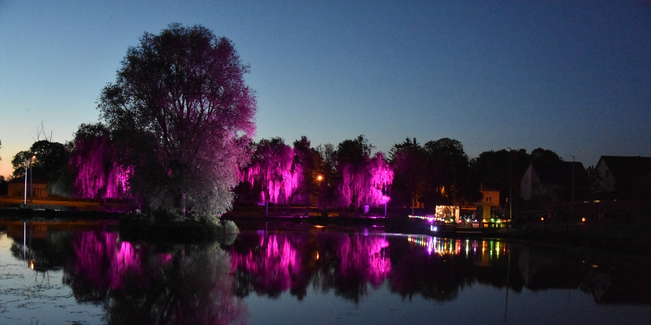 Koncert na molo. Adam Szabat